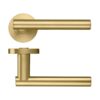 PVD Satin Brass