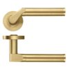 PVD Satin Brass