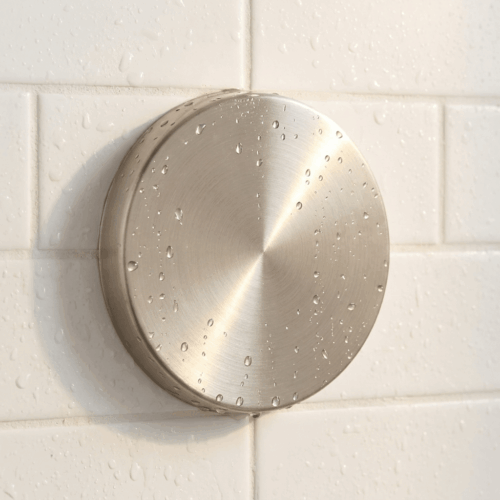 Alternative view of Blank Escutcheon