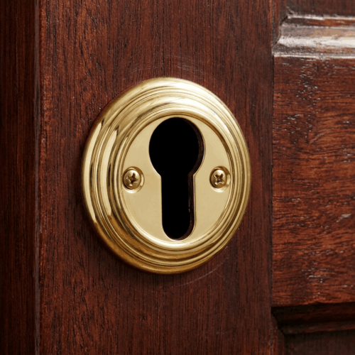 Alternative view of Delamain Euro Profile Escutcheon